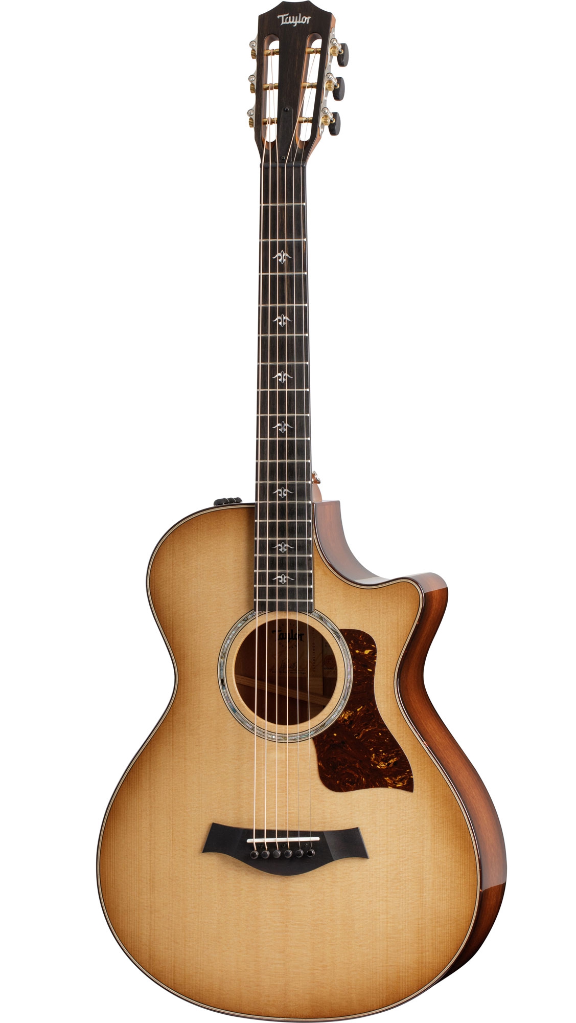 Taylor 512ce 12-Fret Urban Ironbark