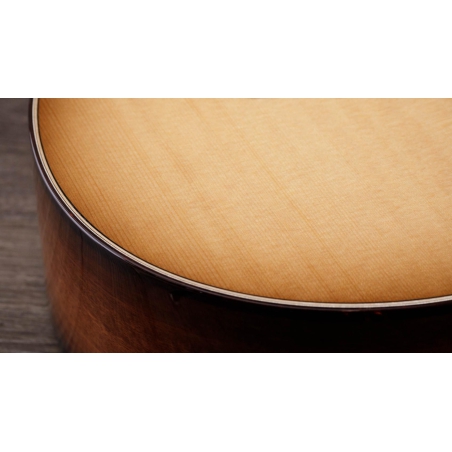 Taylor 512ce 12-Fret Urban Ironbark