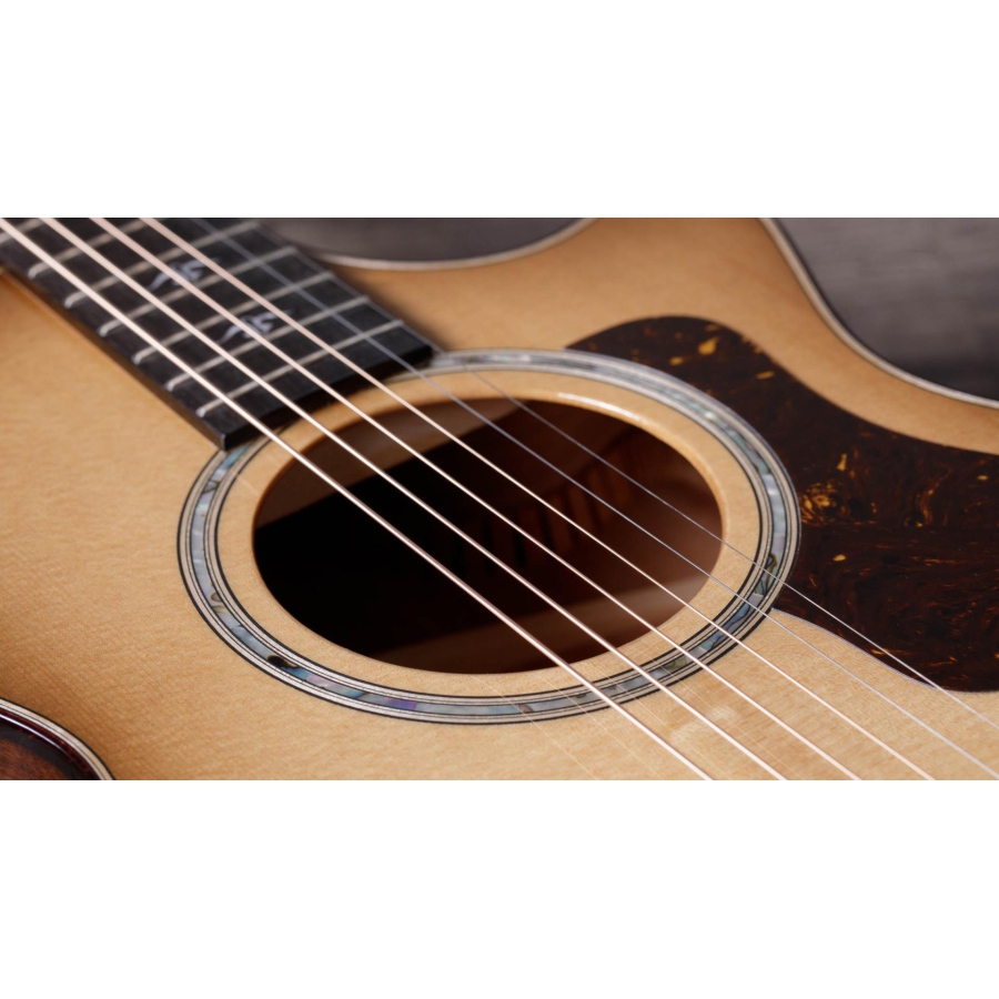 Taylor 512ce 12-Fret Urban Ironbark