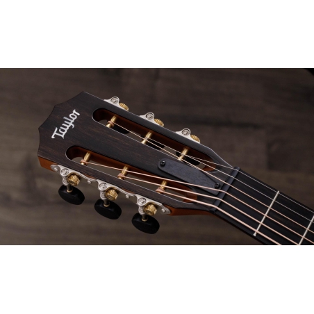 Taylor 512ce 12-Fret Urban Ironbark