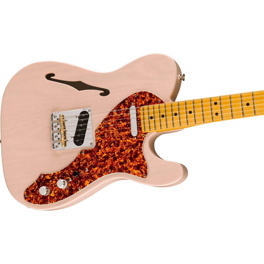 Fender American Professional II Telecaster Thinline TRNS SHP