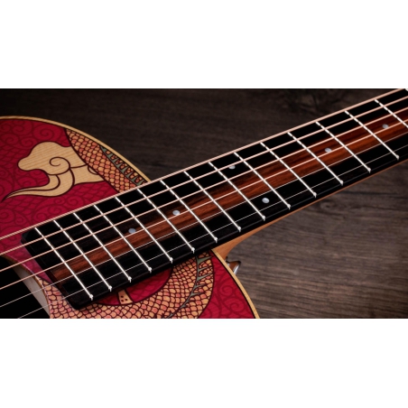 Taylor GS Mini-e Special Edition Dragon Art Top