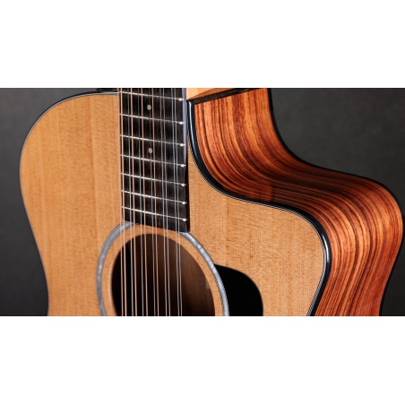 Taylor 254CE Plus Rosewood Spruce