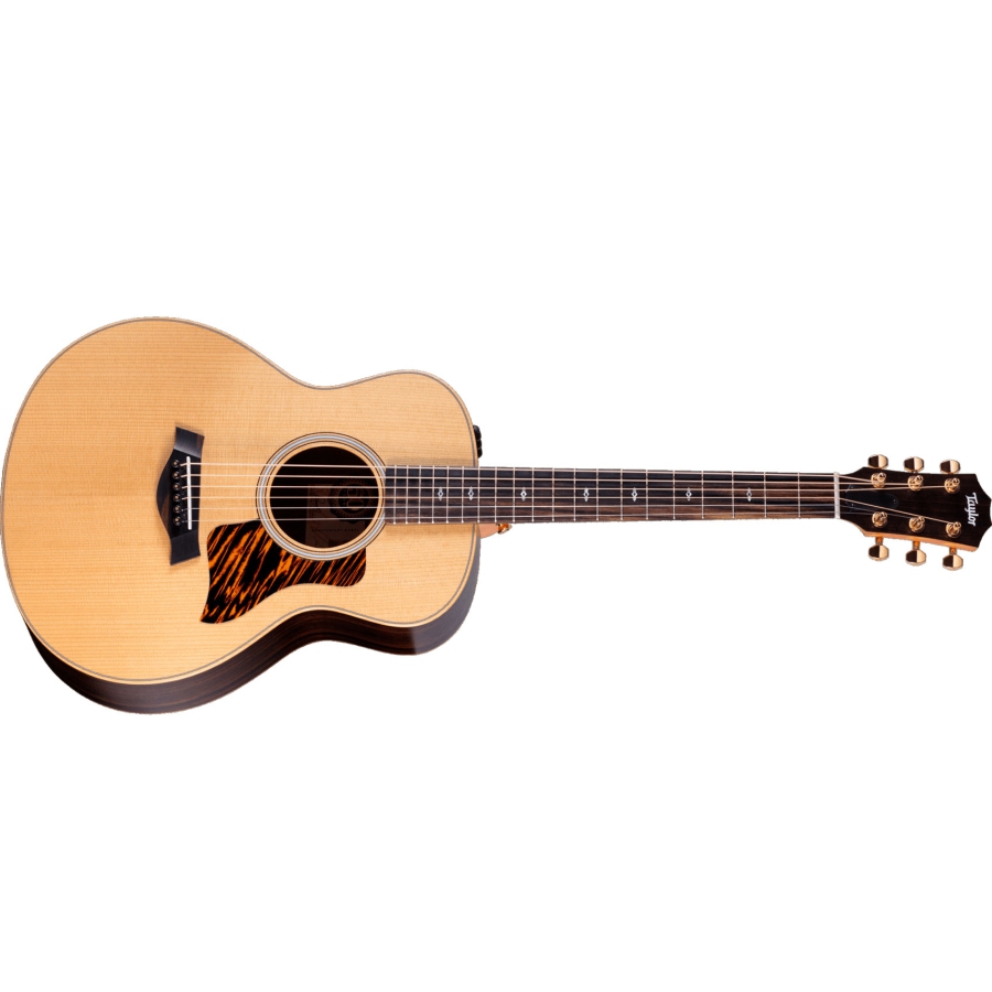 Taylor 50th Anniversary GS Mini-e Natural Top