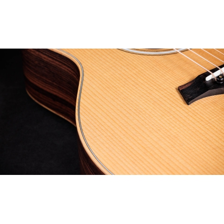 Taylor 50th Anniversary GS Mini-e Natural Top