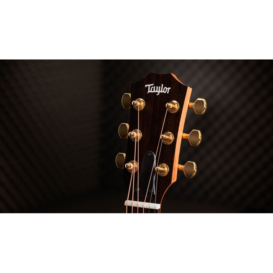 Taylor 50th Anniversary GS Mini-e Natural Top