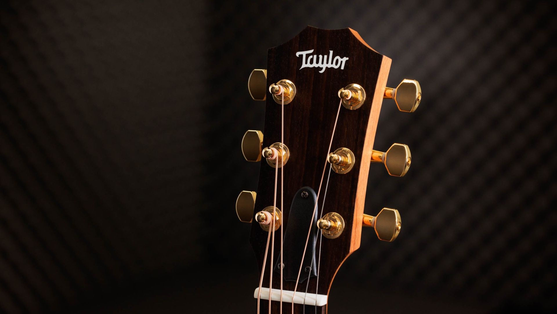 Taylor 50th Anniversary GS Mini-e Natural Top