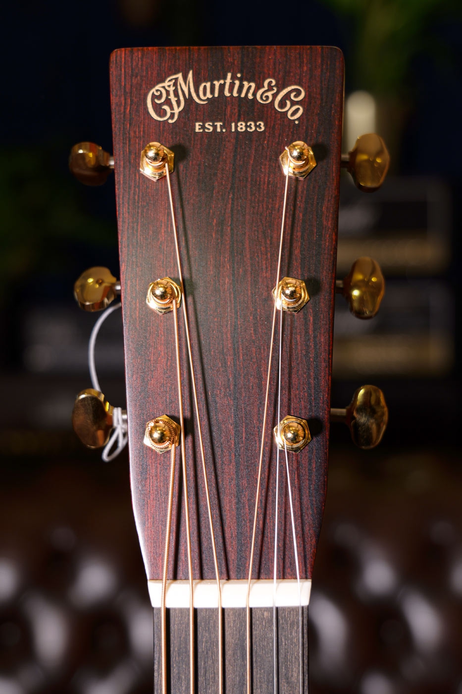 MARTIN Custom Shop D VTS Cocobolo