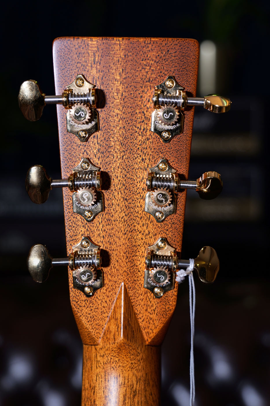 MARTIN Custom Shop D VTS Cocobolo