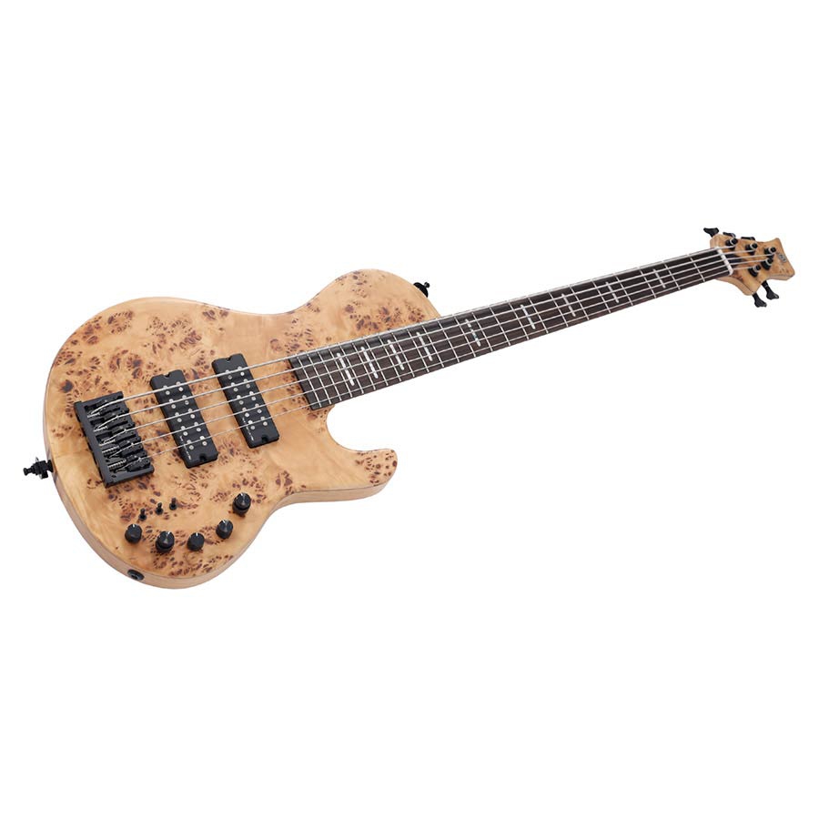 Sire Marcus Miller F10 5 string Poplar Burl