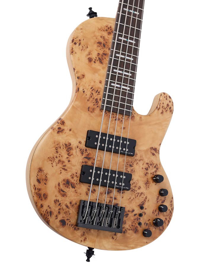 Sire Marcus Miller F10 5 string Poplar Burl