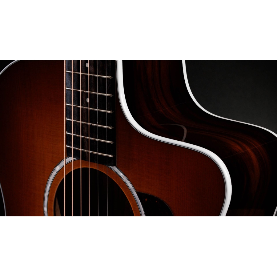 Taylor 214ce Plus Special Edition Ziricote SEB