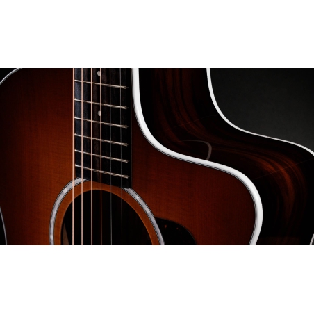 Taylor 214ce Plus Special Edition Ziricote SEB