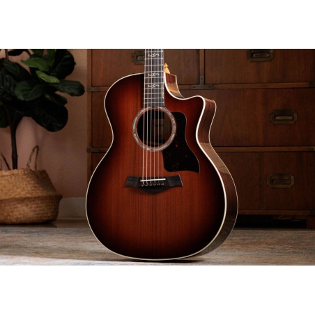 Taylor 50th Anniversary 414ce Special Edition