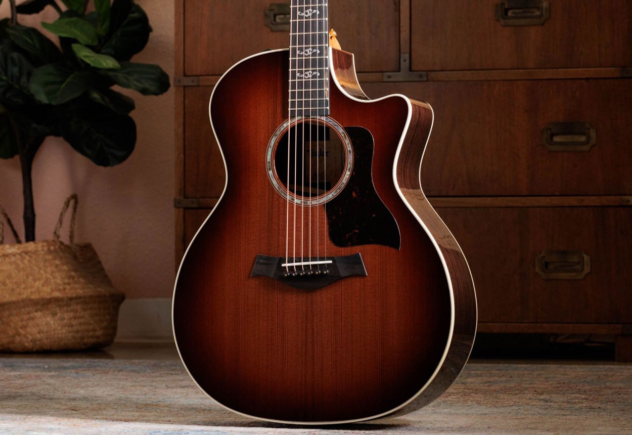 Taylor 50th Anniversary 414ce Special Edition