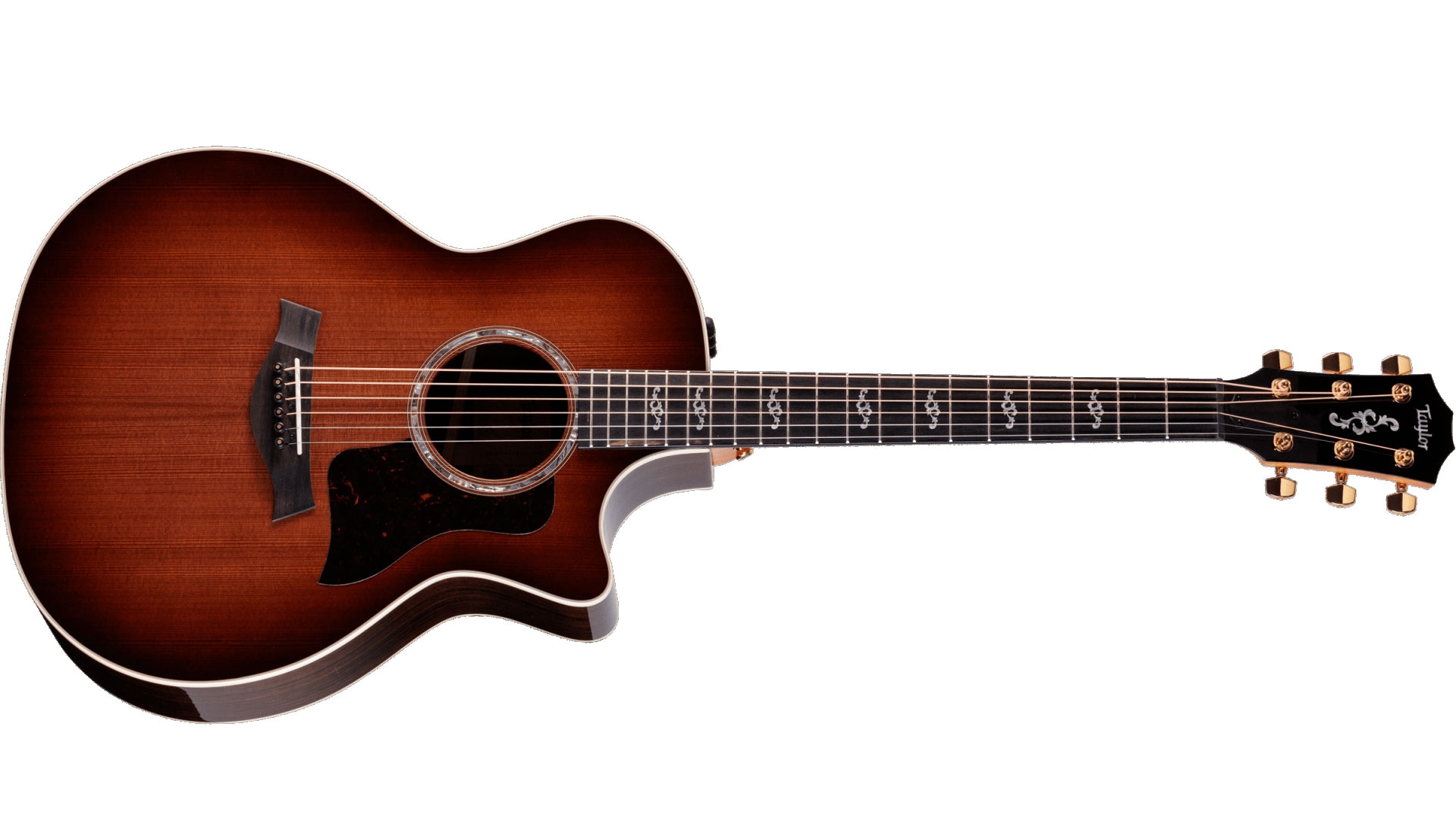 Taylor 50th Anniversary 414ce Special Edition