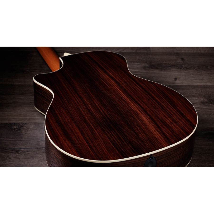 Taylor 50th Anniversary 414ce Special Edition