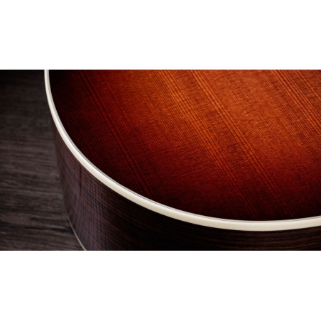 Taylor 50th Anniversary 414ce Special Edition