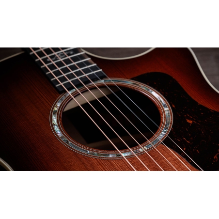 Taylor 50th Anniversary 414ce Special Edition