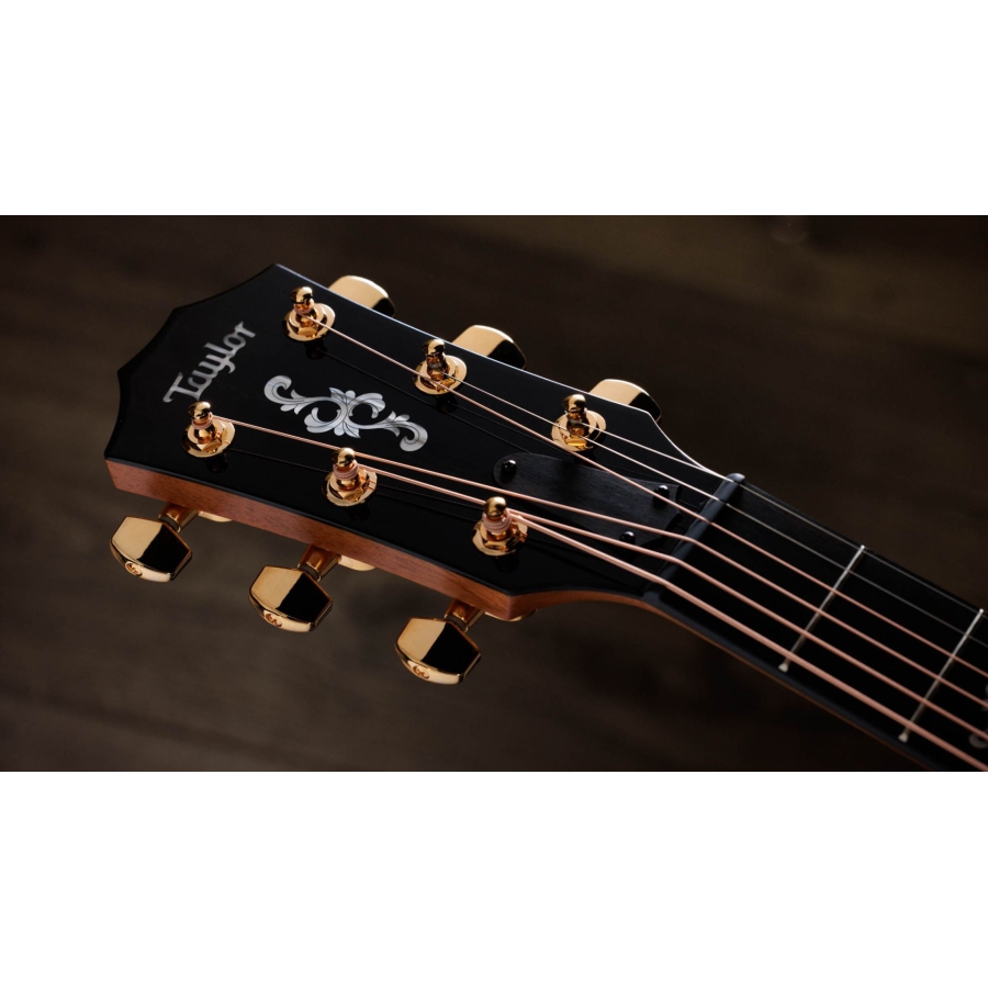 Taylor 50th Anniversary 414ce Special Edition