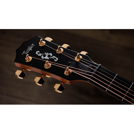 Taylor 50th Anniversary 414ce Special Edition