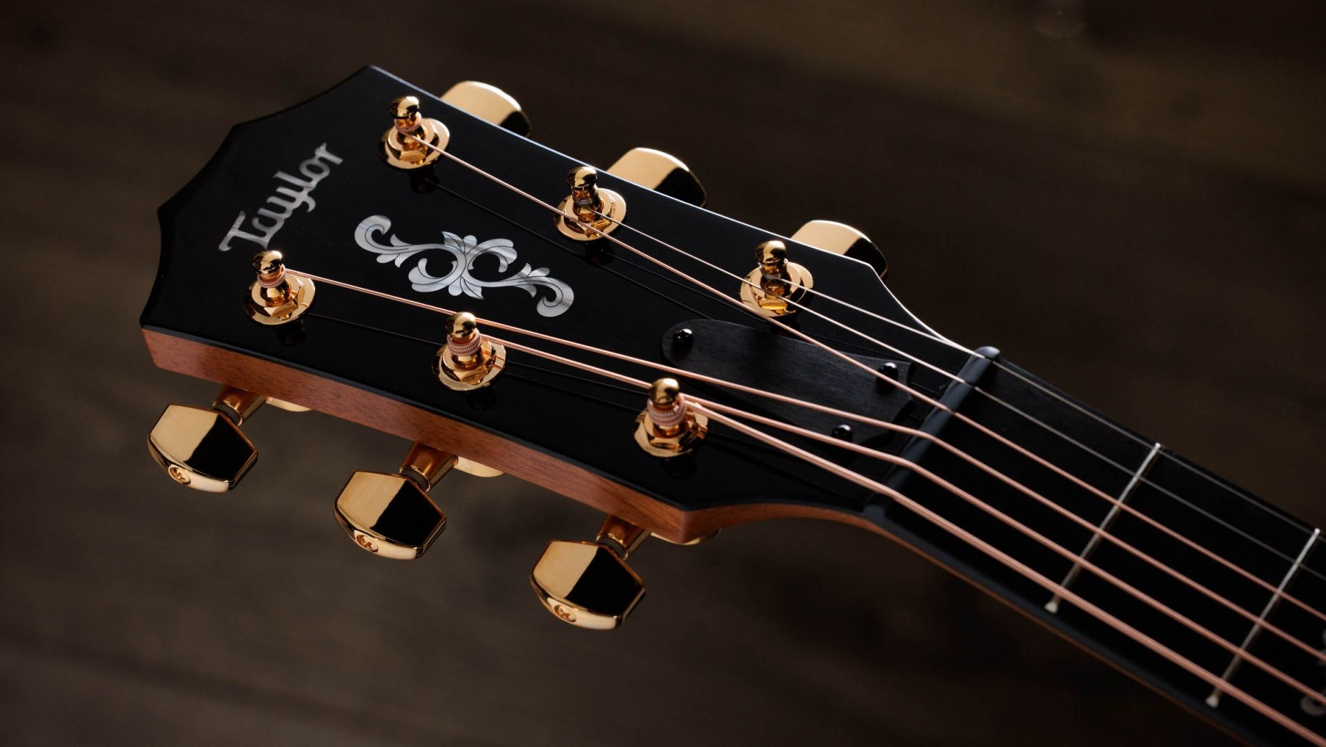 Taylor 50th Anniversary 414ce Special Edition