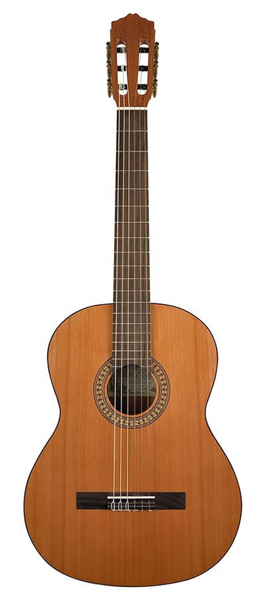 Salvador Cortez CC-22 klassiek gitaar