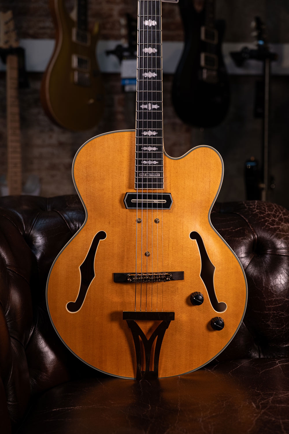 Ibanez PM3C NAL Pat Metheny