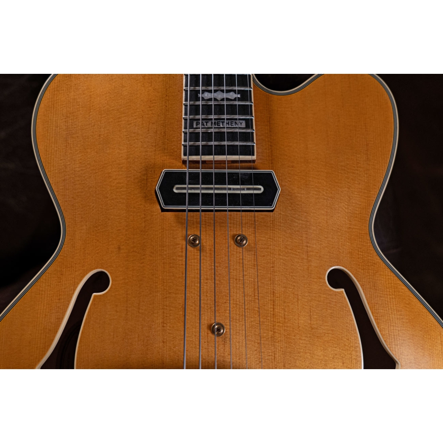 Ibanez PM3C NAL Pat Metheny