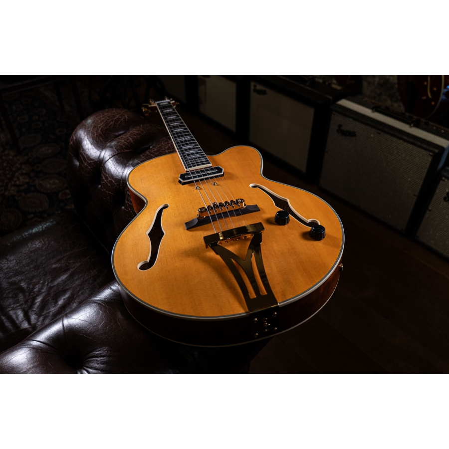 Ibanez PM3C NAL Pat Metheny