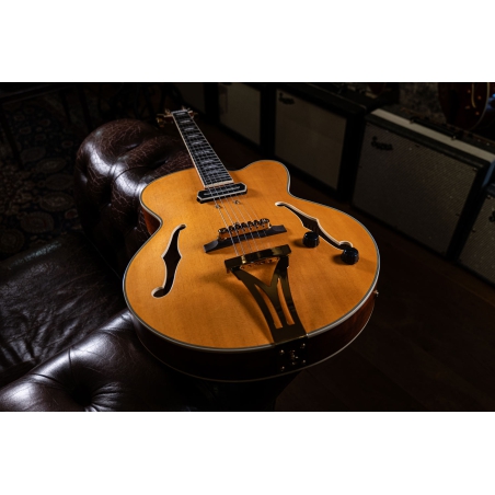 Ibanez PM3C NAL Pat Metheny