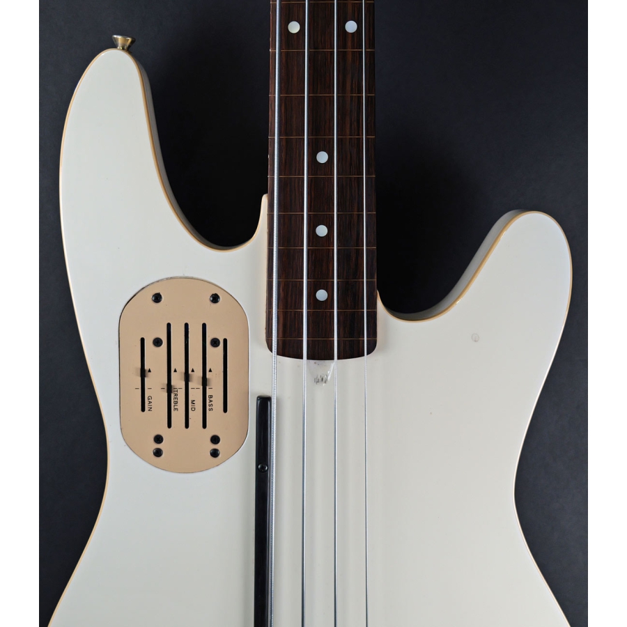 GODIN LR Baggs model fretless Bass White