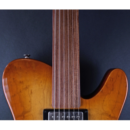 VIC Handbuild Fretless Guitar