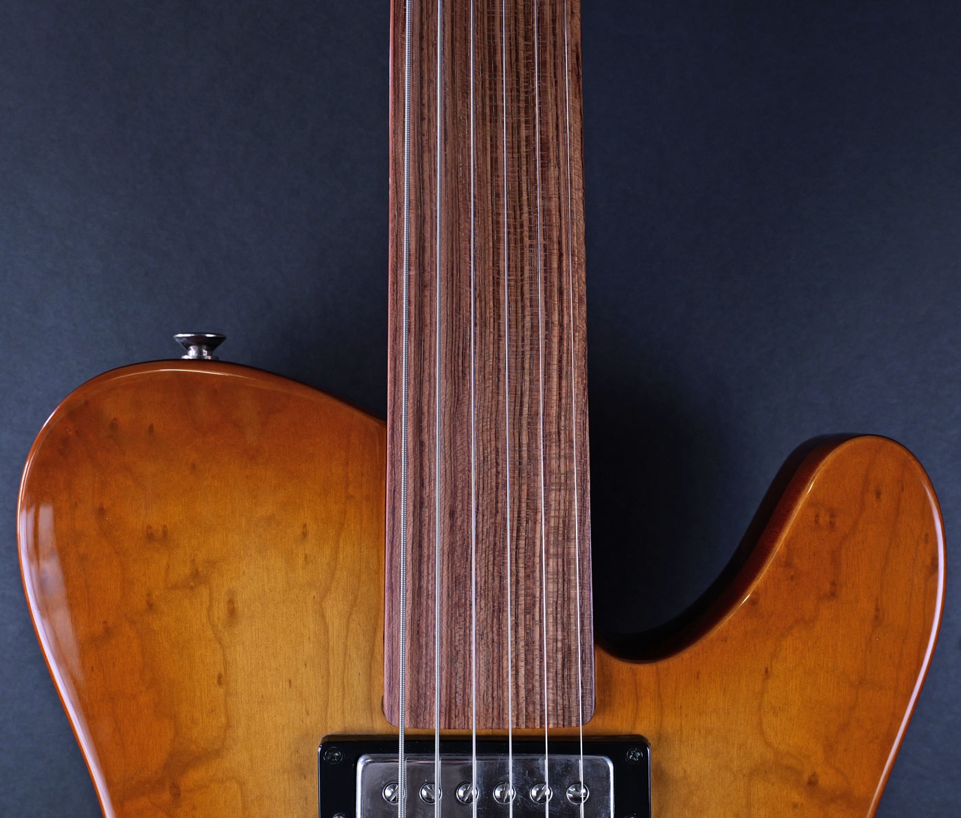 VIC Handbuild Fretless Guitar