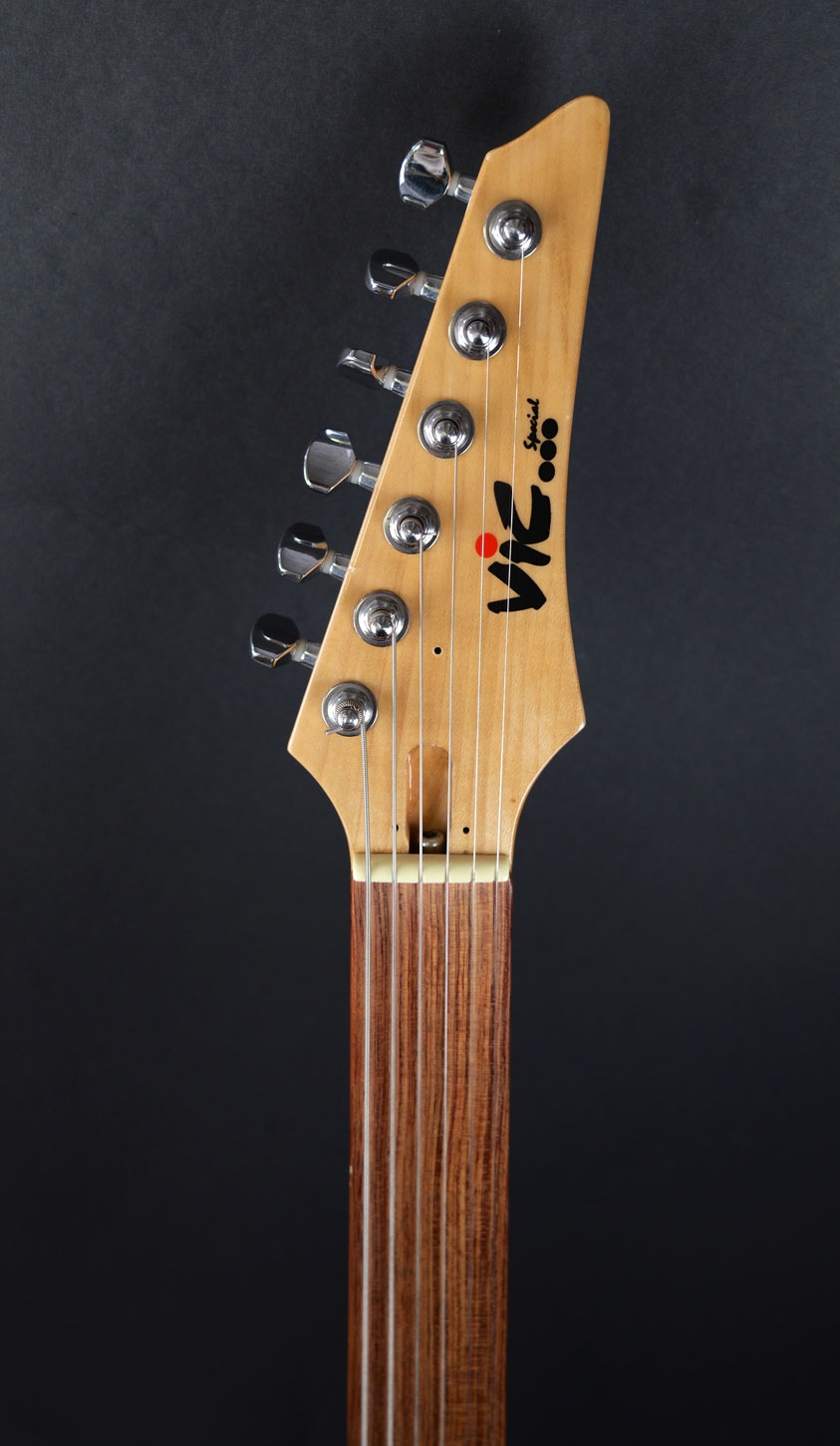 VIC Handbuild Fretless Guitar