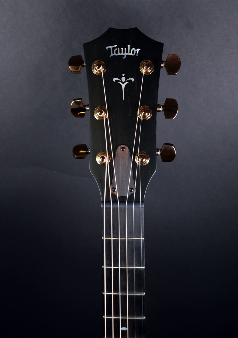 Taylor 724CE Gloss Koa