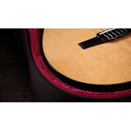 Taylor 212CE-N Plus Rosewood