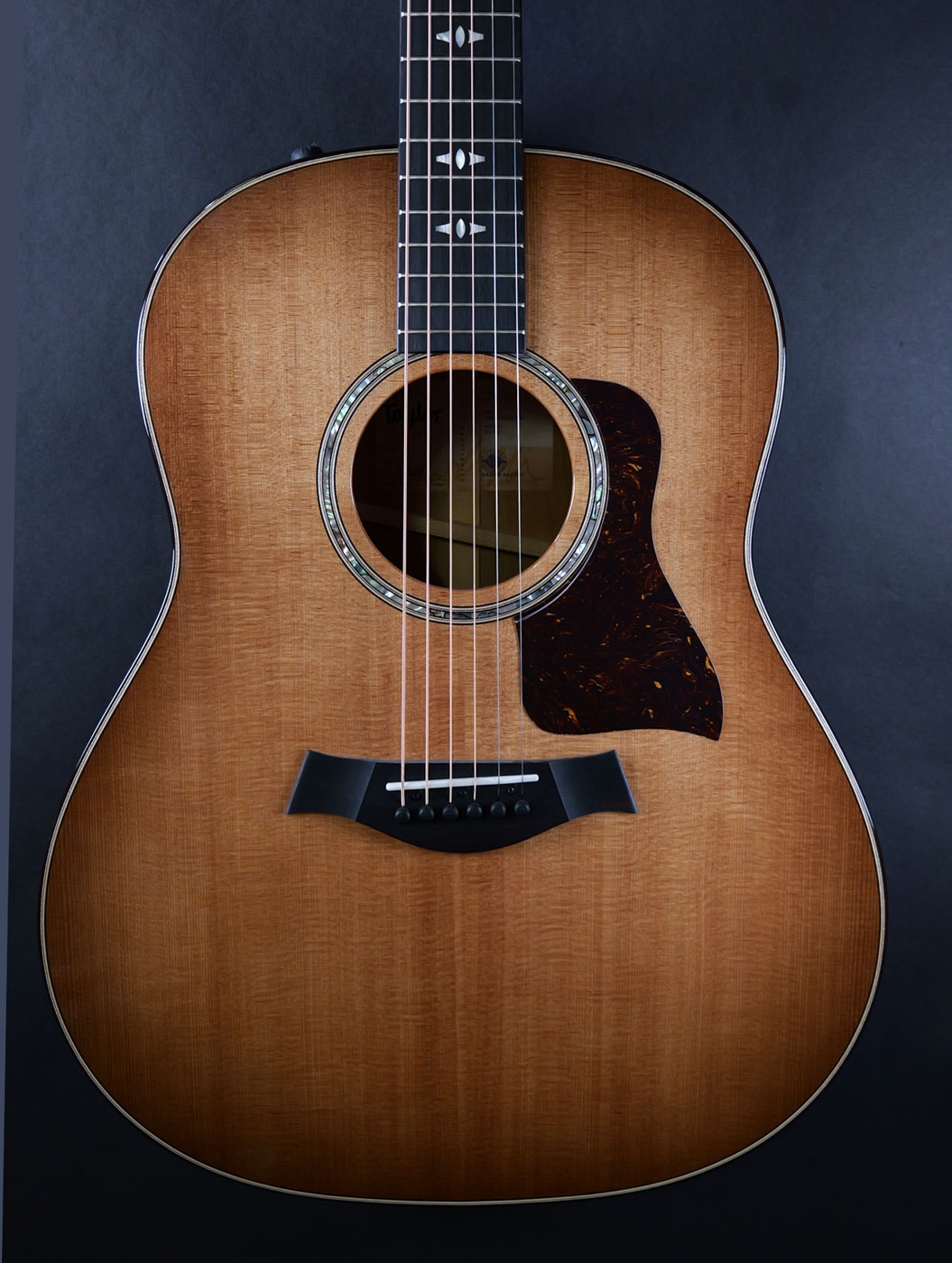 Taylor 517e Urban Ironbark