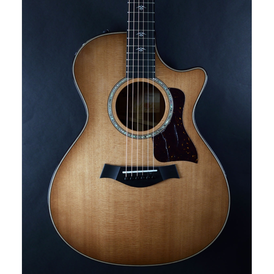 Taylor 512ce Urban Ironbark