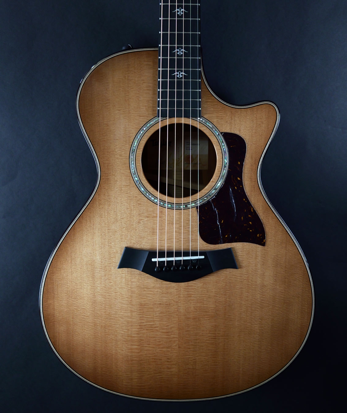 Taylor 512ce Urban Ironbark