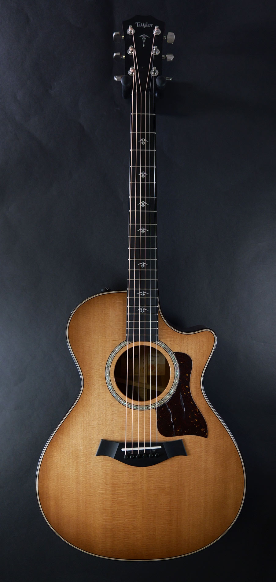 Taylor 512ce Urban Ironbark