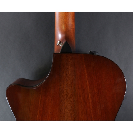 Taylor 512ce Urban Ironbark