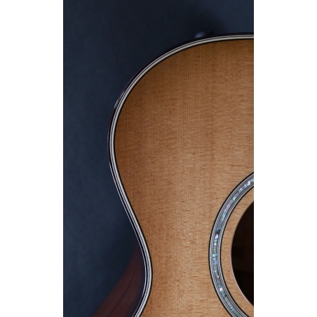 Taylor 512ce Urban Ironbark