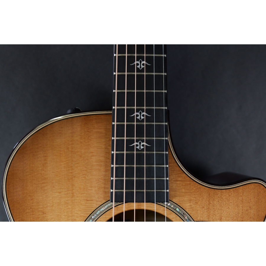 Taylor 512ce Urban Ironbark