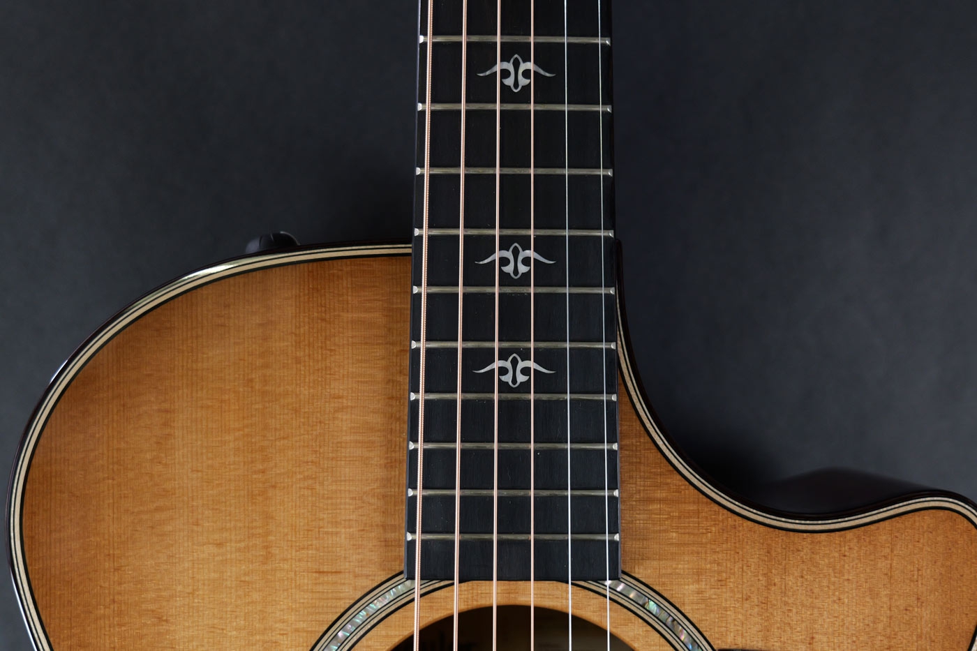 Taylor 512ce Urban Ironbark