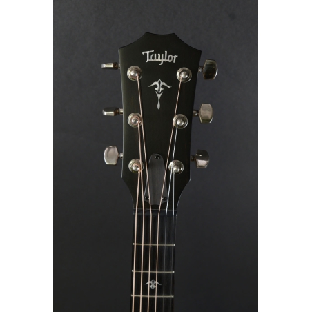 Taylor 512ce Urban Ironbark