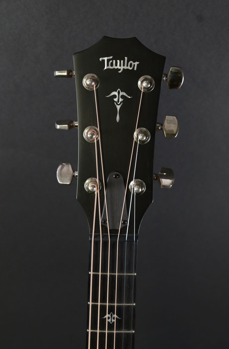 Taylor 512ce Urban Ironbark