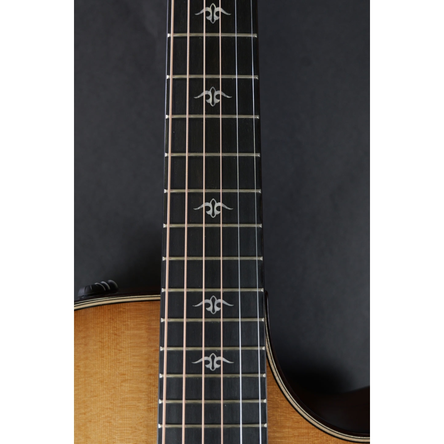 Taylor 512ce Urban Ironbark