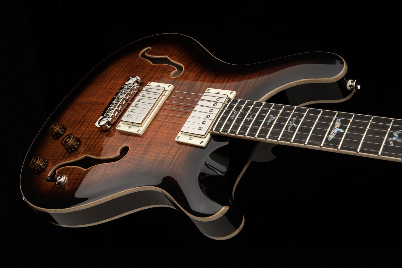 PRS SE Custom 24 Semi-Hollow Piezo OB