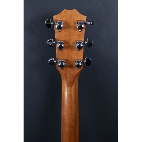 Taylor 214CE-CF DLX